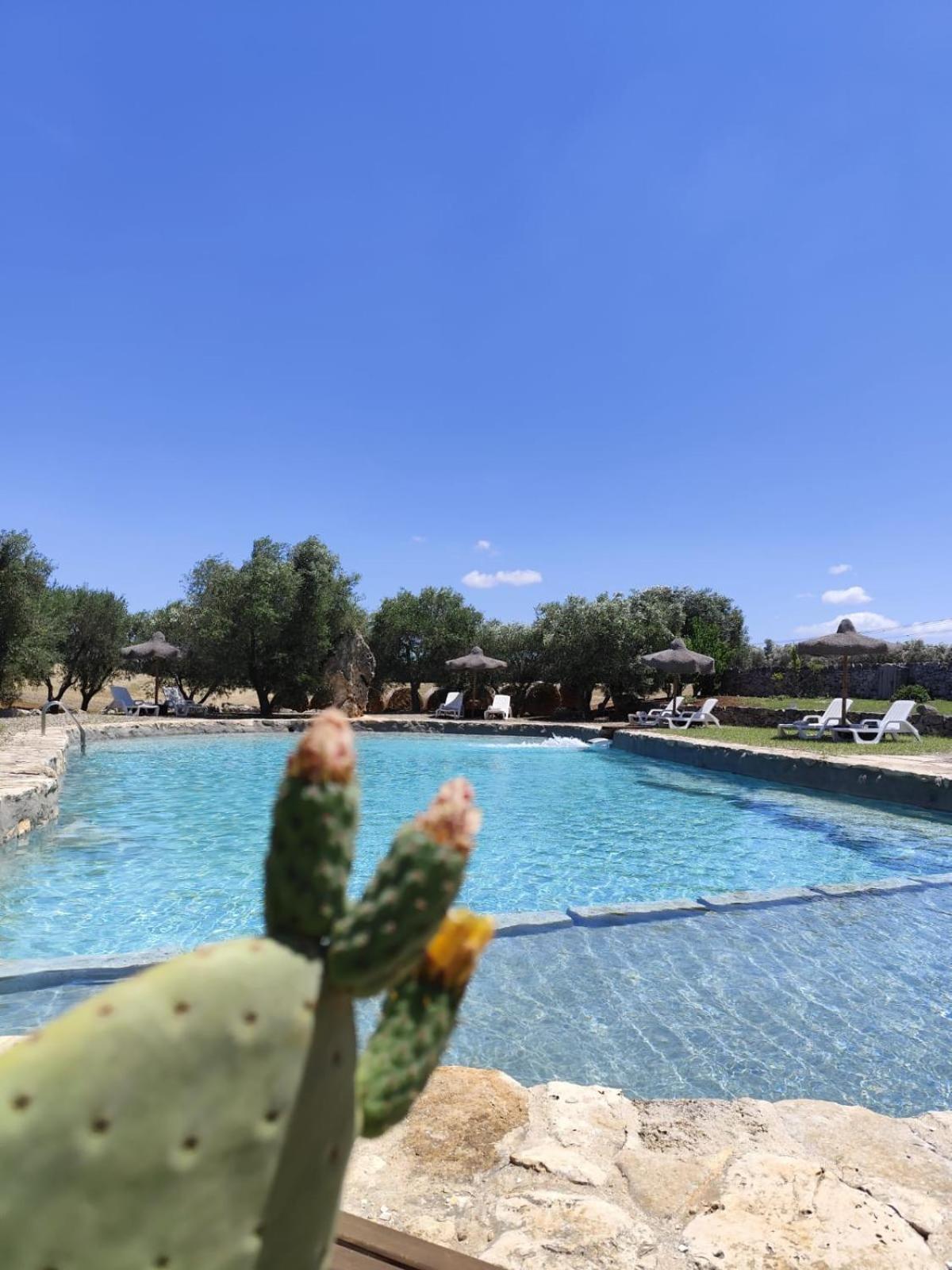 Masseria Palmo Francavilla Fontana Kültér fotó