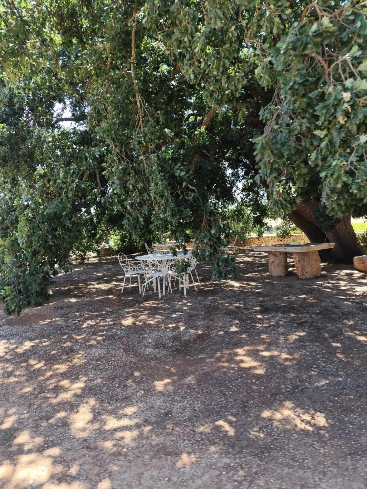 Masseria Palmo Francavilla Fontana Kültér fotó