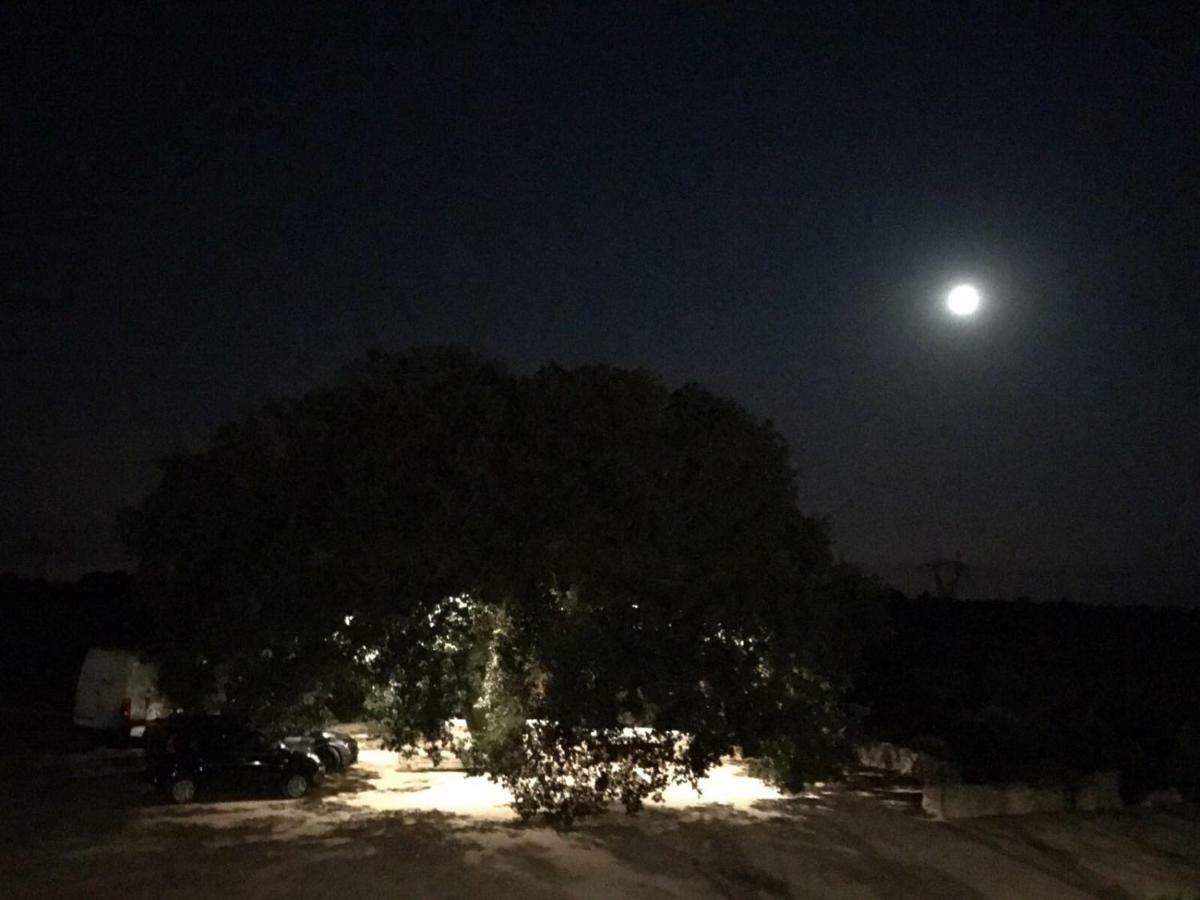 Masseria Palmo Francavilla Fontana Kültér fotó