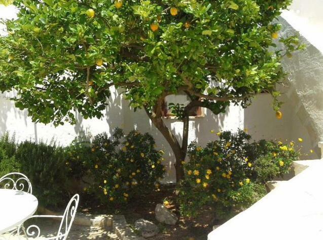Masseria Palmo Francavilla Fontana Kültér fotó